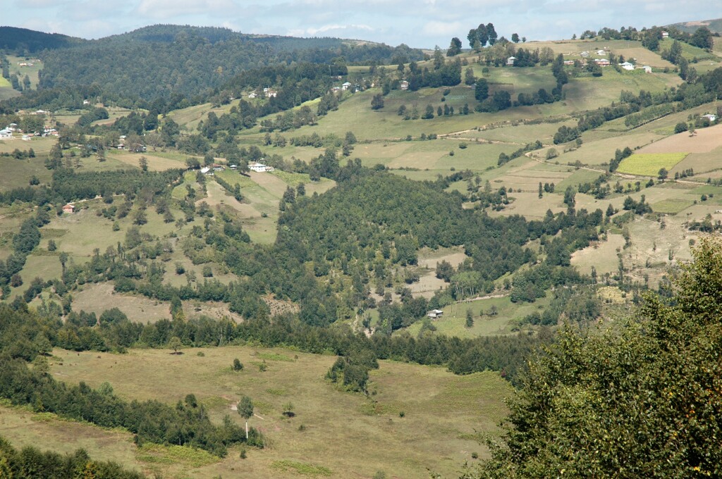 Akkus walk in the country