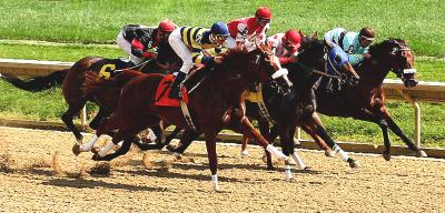 Delaware Park Racing