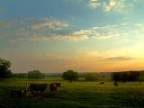 West-Pasture-at-dusk
