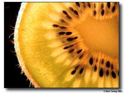Kiwi