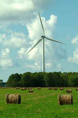 u33/ebishop/medium/21563095.windgenerator1.jpg