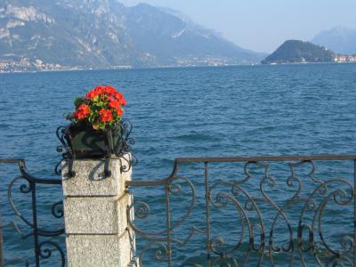 geraniums on Lago di Como.JPG