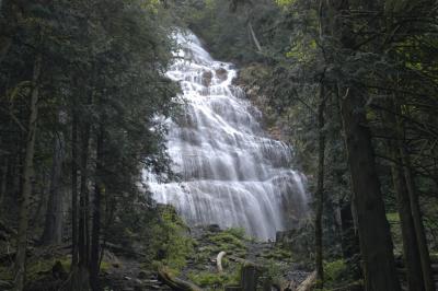 u33/elmwood/medium/21312457.BridalVeil.jpg