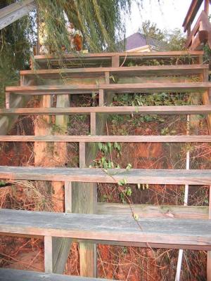 The stairs, to our surprise - although I can't imagine why it was a surprise - are now unsupported and unstable.