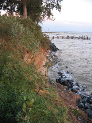 The 300 tons of rip-rap put down in 1998?  Washed over, moved about.  The shoreline was undermined and a new cliff (of sorts) created, on the property and everyone else's property up in our once jetty-protected cove.