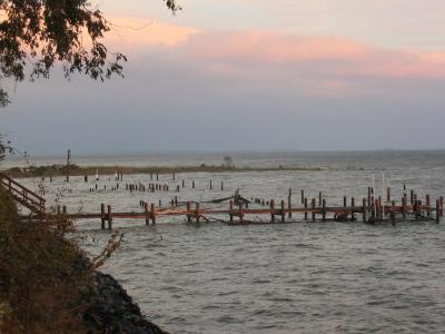 It's still around 7:00 AM on Friday, I've been snapping photos left and right, and up and down!  Here's our neighbor's dock.  John and Sharon S. built a dock well above water.  They wanted to be prepared as global warming melts the ice caps and the waters rise.  They didn't build high enough.  Their dock was destroyed.  They might, however, have been on to something as what really might have destroyed the dock was the dead cedar tree, or two, that washed up on and under the dock and just beat it apart!  The next dock over belongs to Tom and Martha C.  They, and Rick and Linda P. with the next dock back, lost their dock and pier and stairs, as well as all the bulkhead (seawall) separating their property from the water.