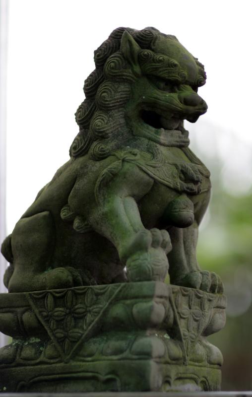 Lion.JPG