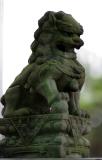 Lion.JPG