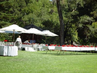 outdoor reception