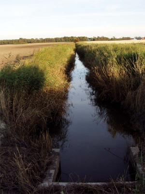 Kanal Channel.JPG