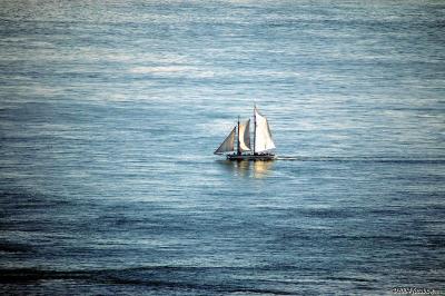 Sailing the waters of San Francisco Bay