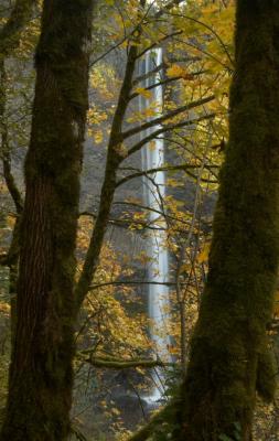 Columbia River Gorge