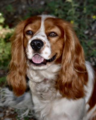 copper