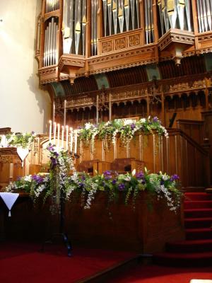 u33/gatolisto/medium/35720754.enricaceremony2.jpg
