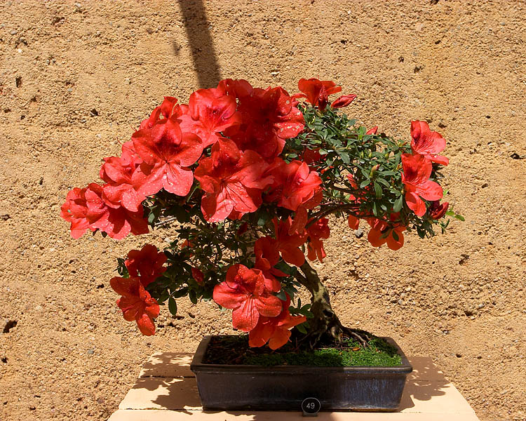 CRW_6107.jpg