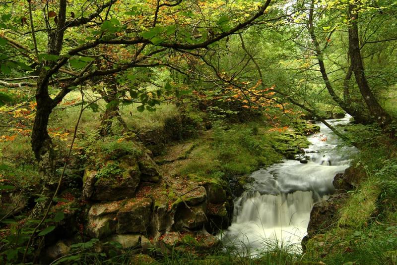 Pont Sarn, Merthyr Tydfil