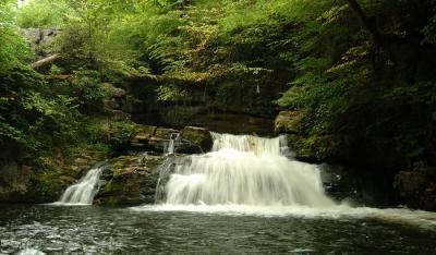 Falls on the Afon Taf Fechan