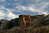 Evening sun on Cefn Glas