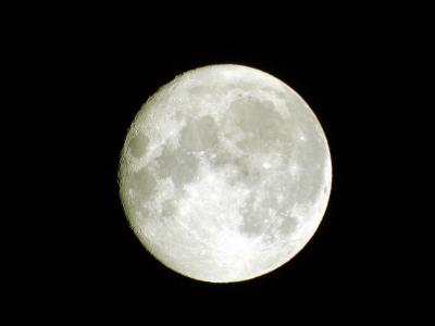 Full Moon 2.jpg