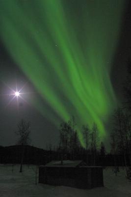 aurora borialis.jpg