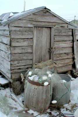 nets and shed.jpg