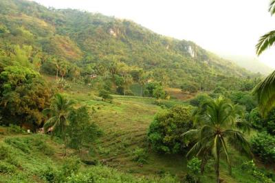 busay, cebu.jpg