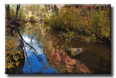 West Fork Canyon Reflection