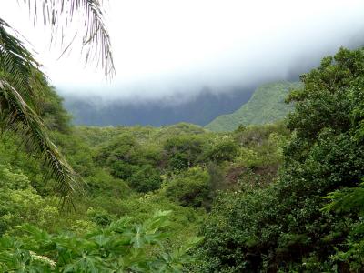 Iao Valley