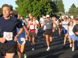 Bill Hawke & brother Ferg pacing