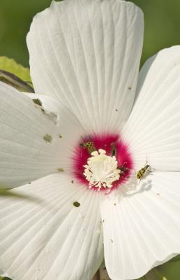 CRW_0352.jpg