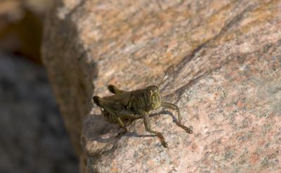 CRW_0358.jpg