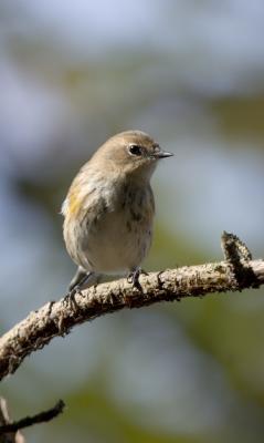 CRW_0508.jpg