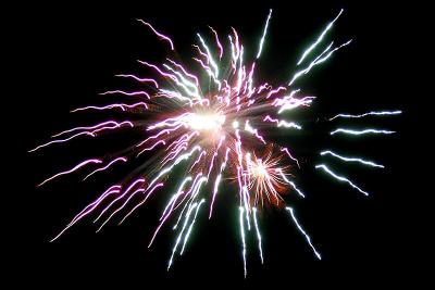 Gunpowder Flower