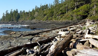 SOUTHWEST VANCOUVER ISLAND GALLERY