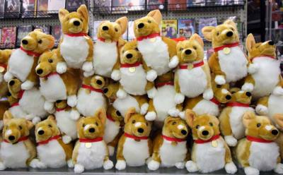  Come and get Ein for your own self or friend. Guaranteed in stock for quite some time!
 Ok, NOW it is SOLD OUT! It has been a couple of years................