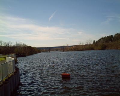 Huron River from Dixboro Dam looking West