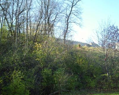 Hill from bottom of pit - top of Hospital just visible