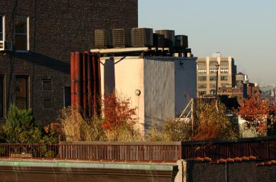 Roof Garden at Sunrise - West Greenwich Village