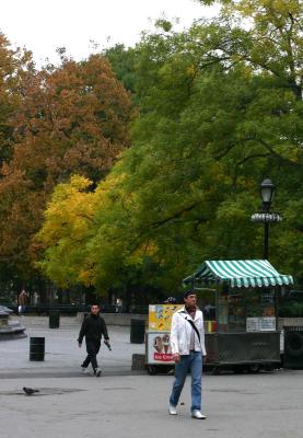 Fall Scene