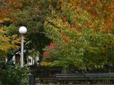 Fall Scene
