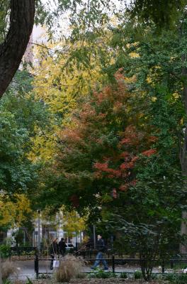 Fall Scene