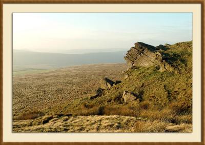 Autumn Heathland