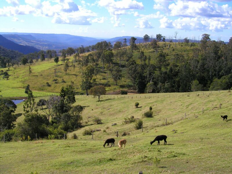 AlpacaFarmView2.jpg