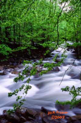 Greenbrier Stream