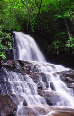 Laurel Falls