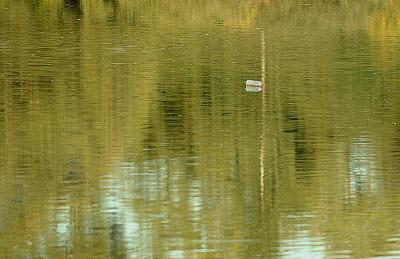 DSCF6179.jpg