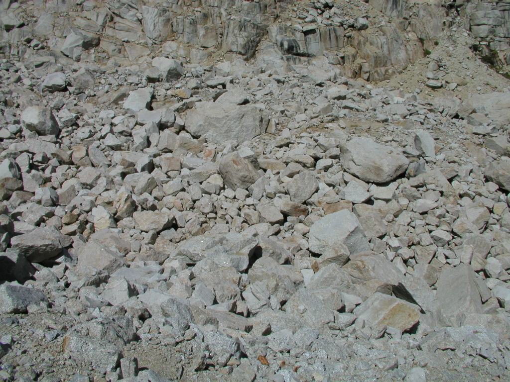 P1010067.JPG
