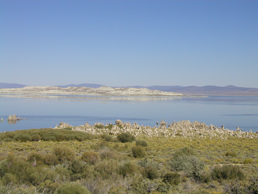 P1010101.JPG