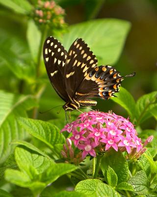 CRW_9459.jpg