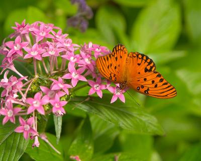 CRW_9467.jpg
